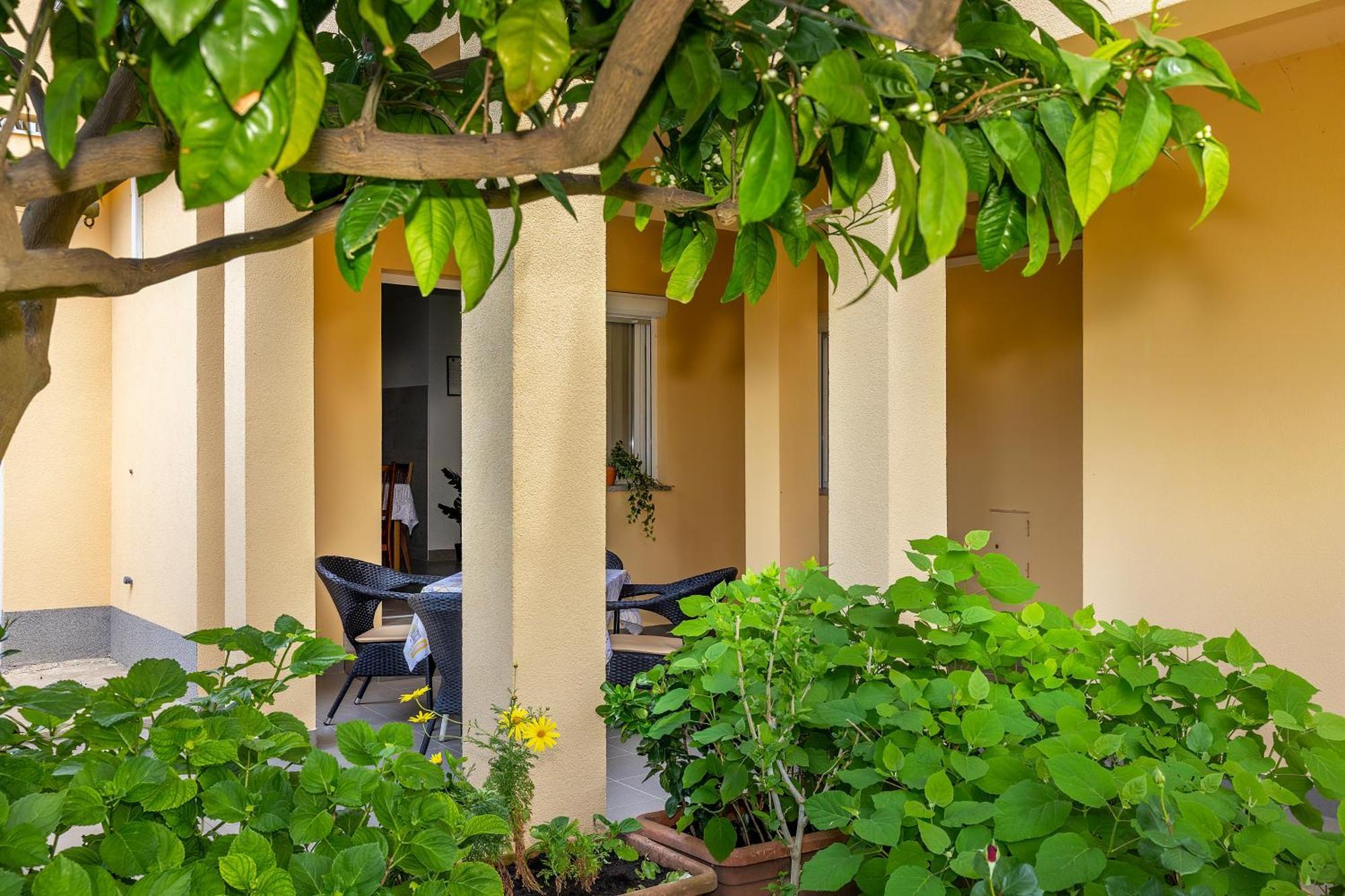 Apartments & Room Jagoda باشْكا المظهر الخارجي الصورة